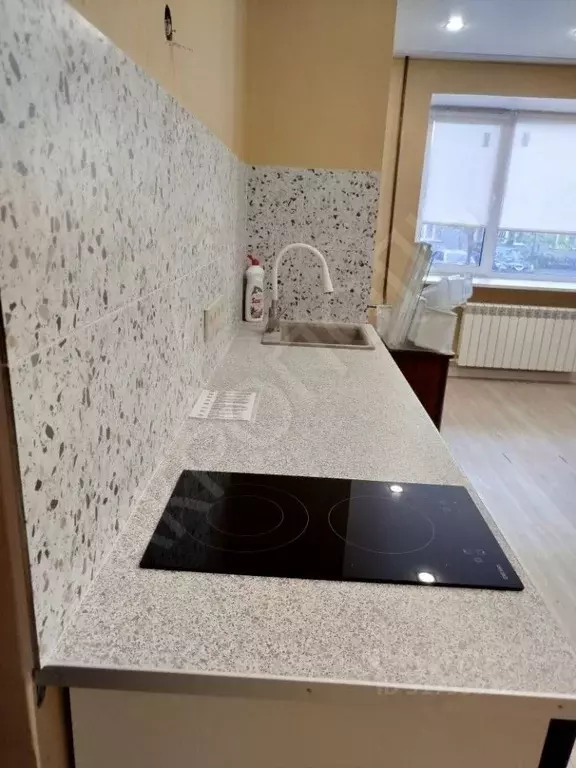 2-к кв. Красноярский край, Красноярск ул. Профсоюзов, 56 (42.8 м) - Фото 1