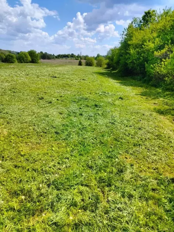 Участок в Калужская область, Жуковский муниципальный округ, Высокиничи ... - Фото 1