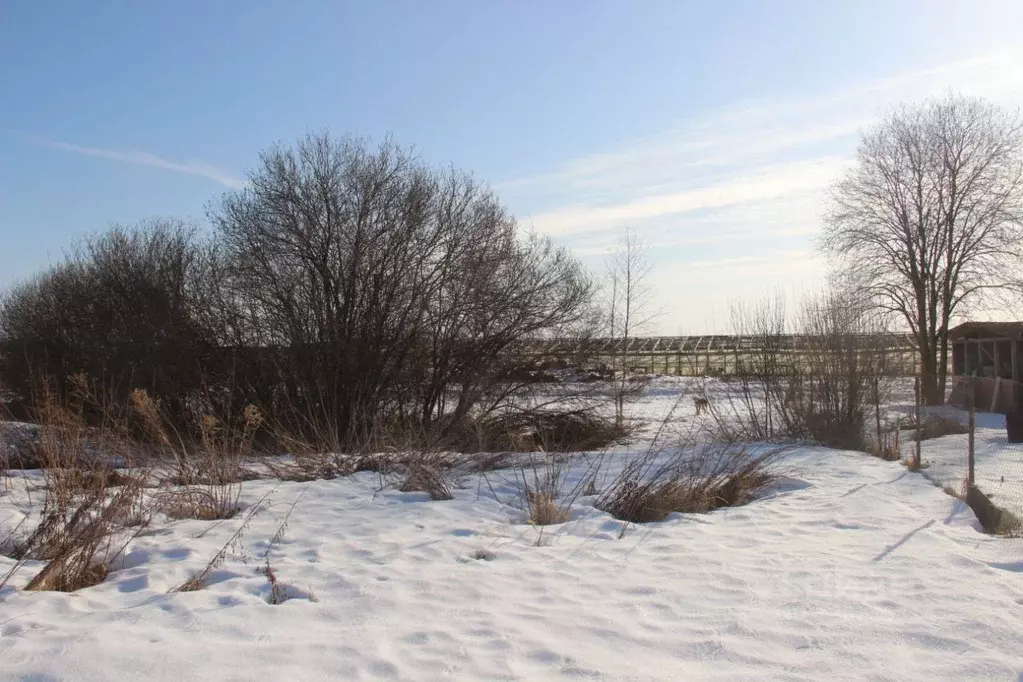 Участок в Московская область, Шаховская муниципальный округ, д. ... - Фото 1