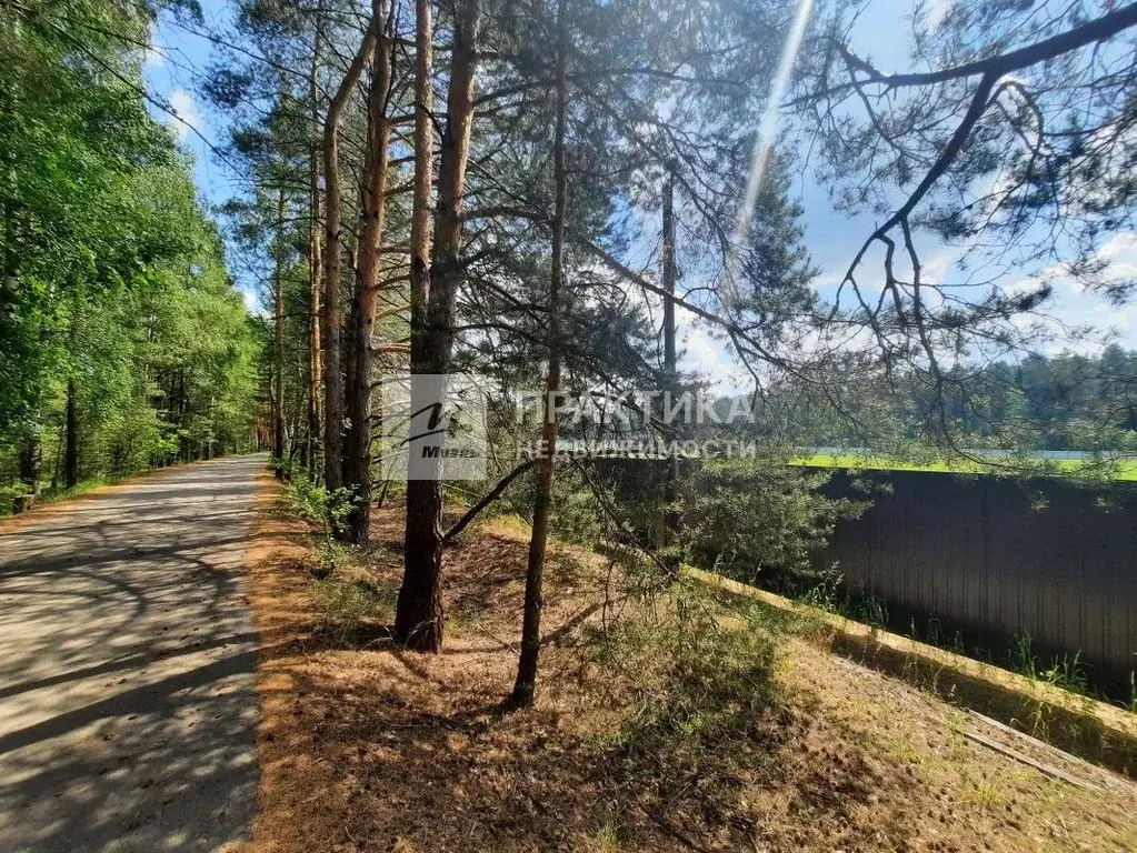 Участок в Московская область, Богородский городской округ, Сосны СНТ ... - Фото 0