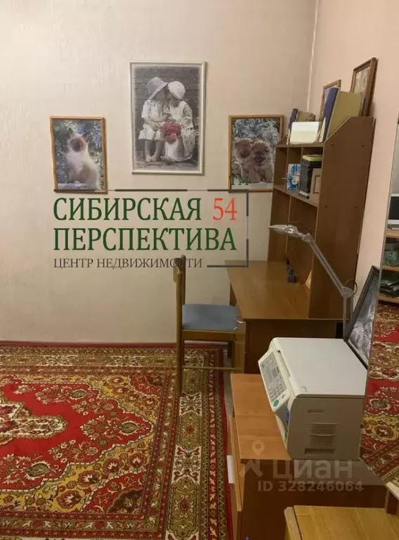 Комната Новосибирская область, Новосибирск ул. Фрунзе, 63 (12.0 м) - Фото 2