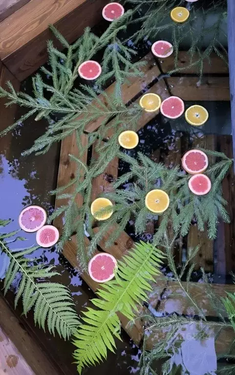 Дом в Московская область, Солнечногорск городской округ, Дачной ... - Фото 2