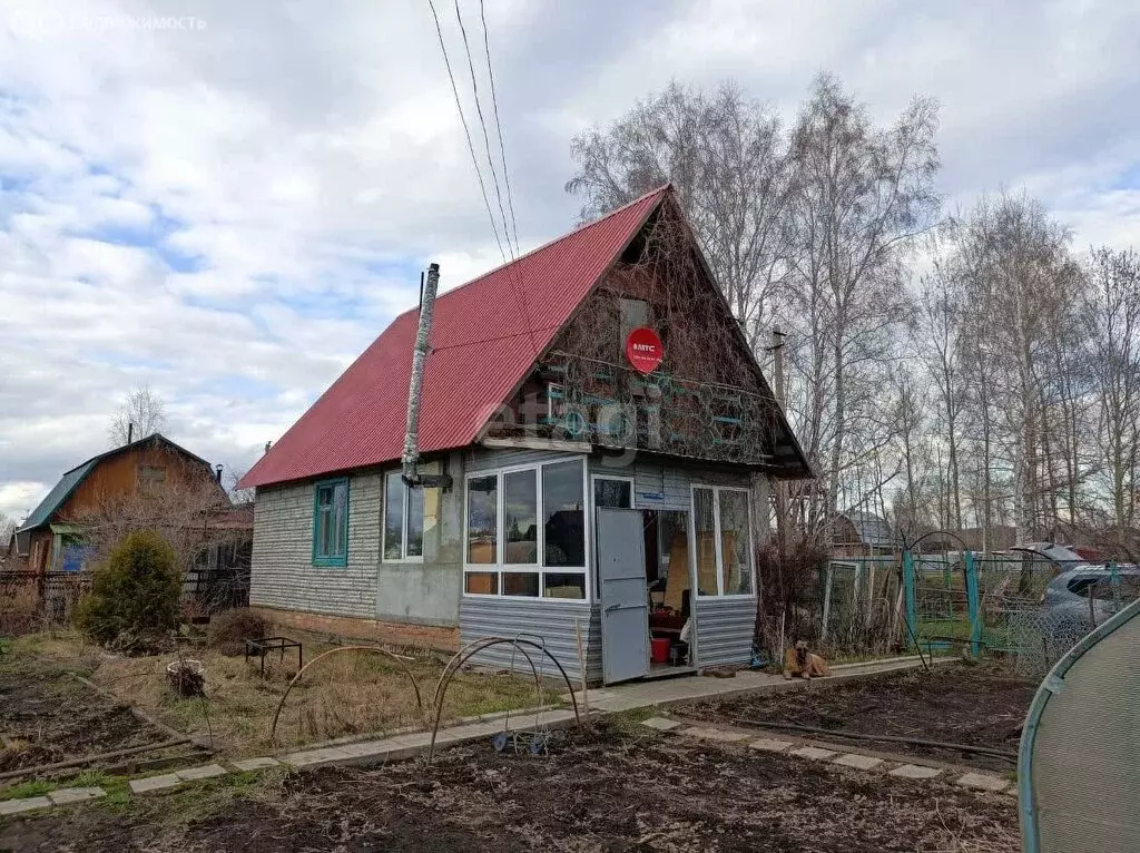 Дом в Толмачёвский сельсовет, садовое товарищество Пригородный (49 м) - Фото 1