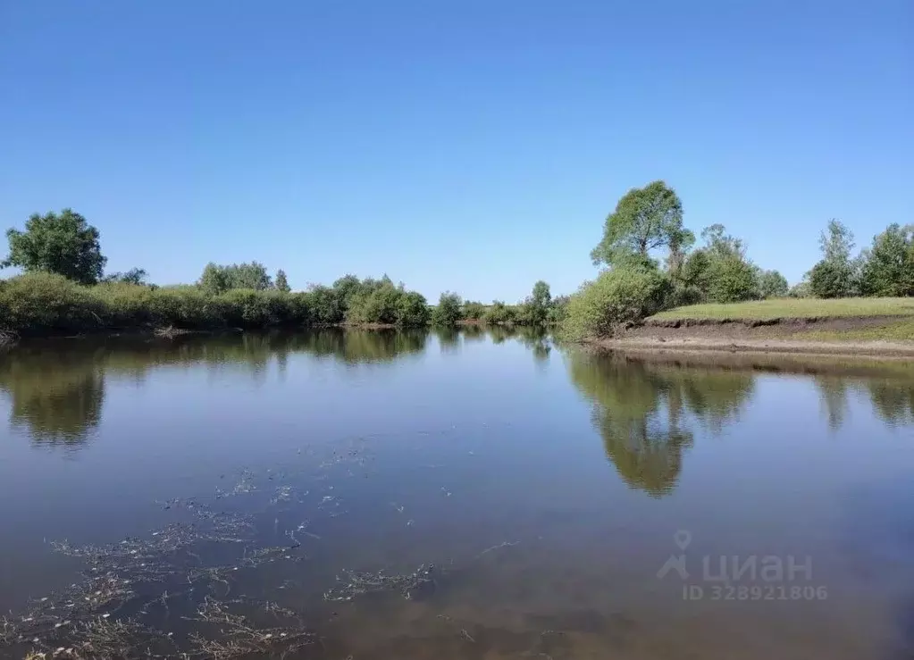 Участок в Пензенская область, Шемышейский район, с. Синодское  (2120.0 ... - Фото 2