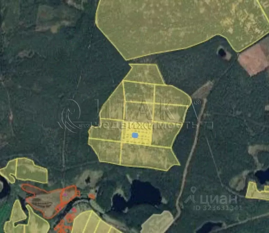 Участок в Ленинградская область, Лодейнопольский район, Алеховщинское ... - Фото 1