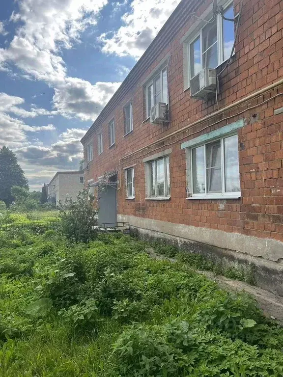 2-к кв. Московская область, Серпухов городской округ, д. Большое ... - Фото 2