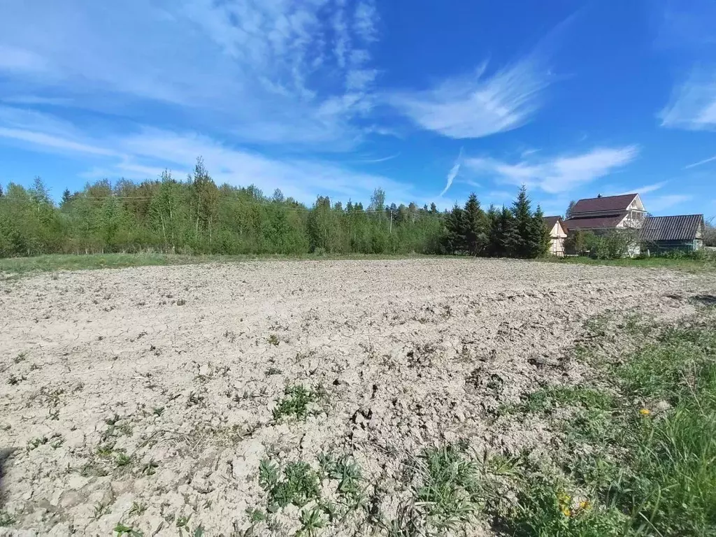 Участок в Ленинградская область, Волховский район, Вындиноостровское ... - Фото 0