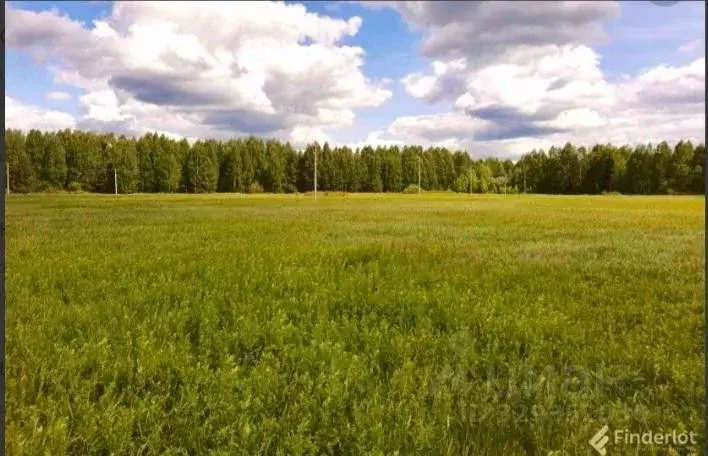 Участок в Кировская область, Слободской муниципальный район, ... - Фото 2