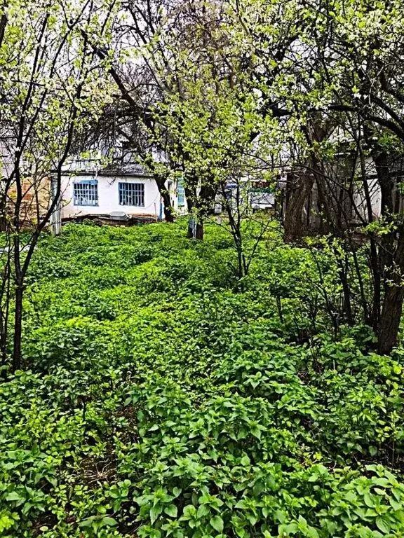 Участок в Ставропольский край, городской округ Пятигорск, село ... - Фото 1