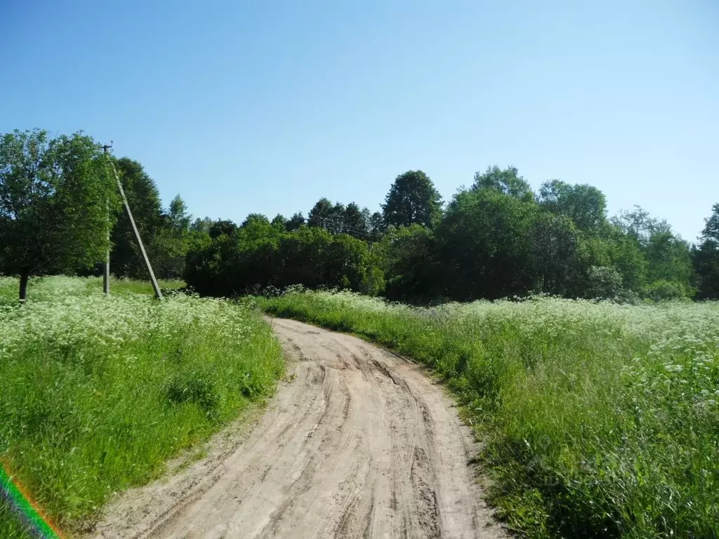 Участок в Псковская область, Гдовский район, Юшкинская волость, д. ... - Фото 1