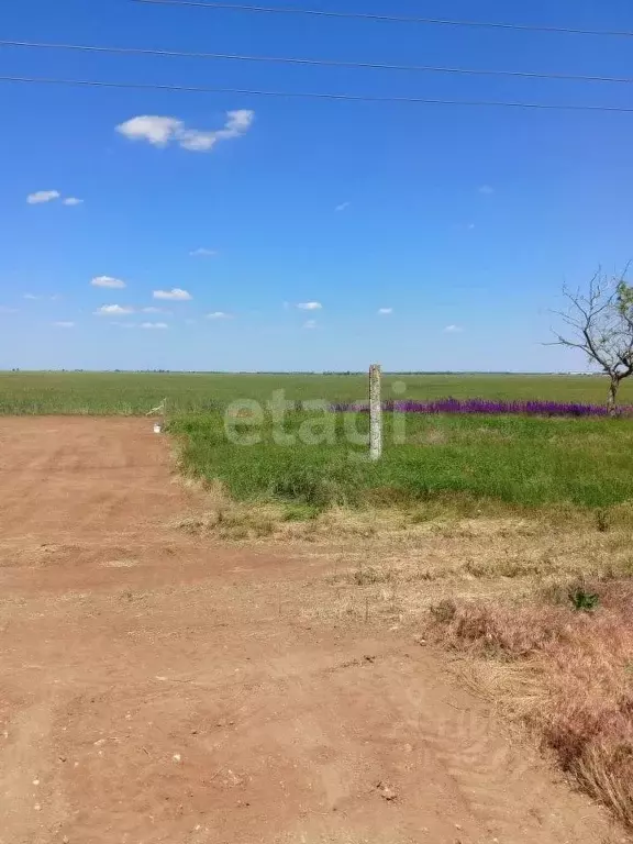 Участок в Крым, Сакский район, с. Молочное ул. Пионерская (6.33 сот.) - Фото 1