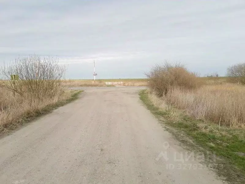 Участок в Калининградская область, Гурьевский муниципальный округ, ... - Фото 1