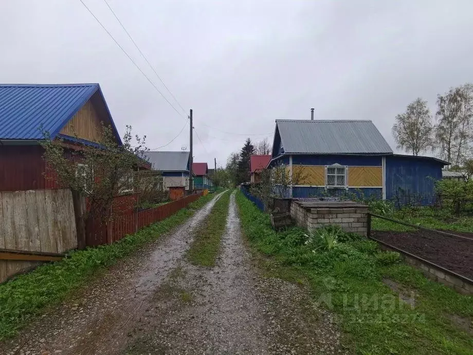 Дом в Пермский край, Березники № 26 СНТ, 60 (22 м) - Фото 2