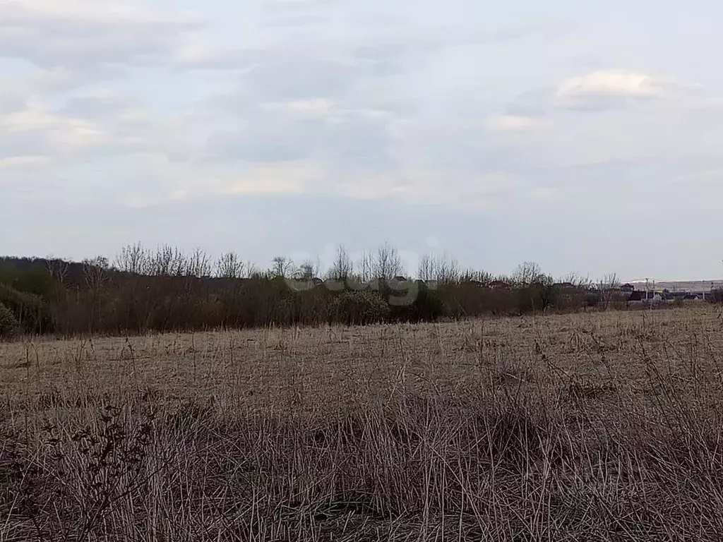 Участок в Мордовия, Саранск городской округ, пос. Добровольный 11/1 ... - Фото 0