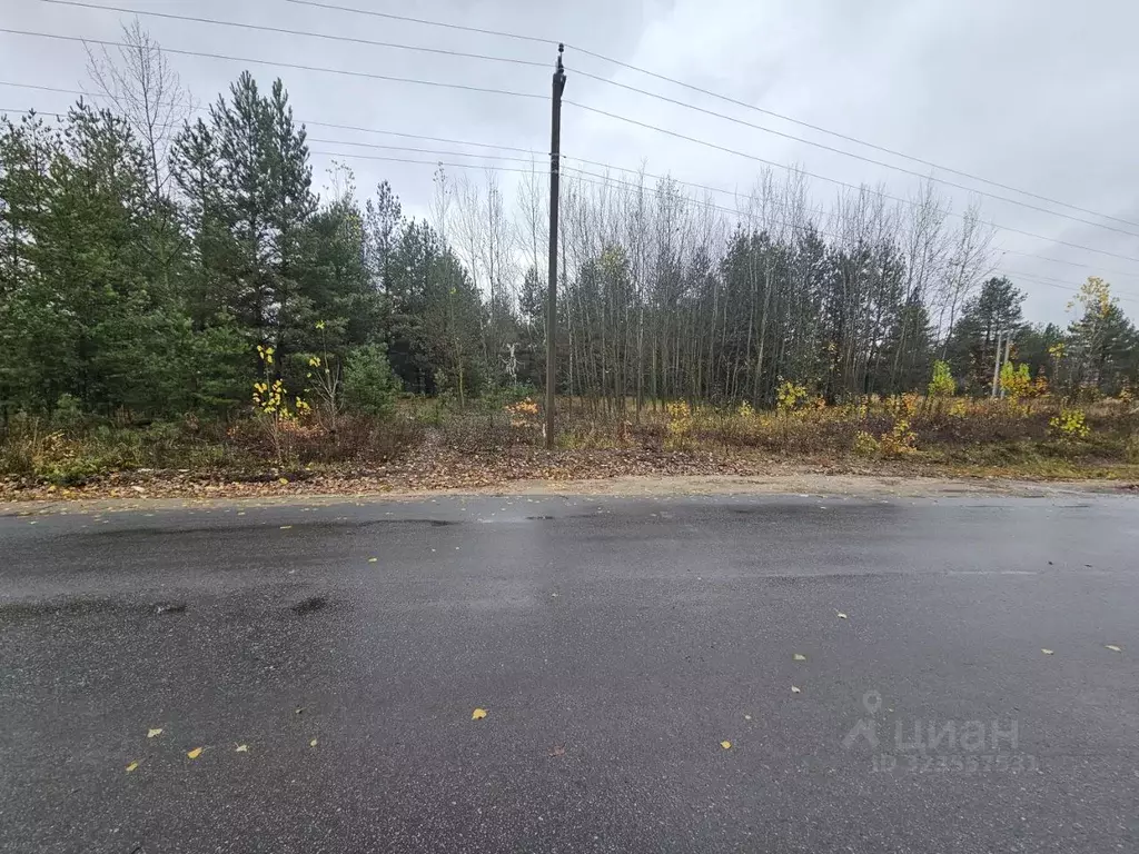 Участок в Воронежская область, Рамонский район, Новоживотинновское ... - Фото 1