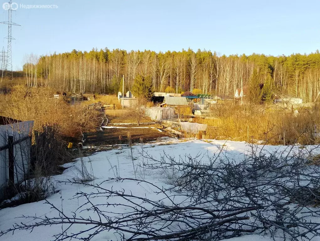 Участок в посёлок Исеть, улица Чапаева, 11 (10 м) - Фото 0