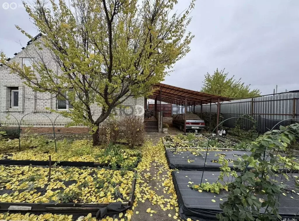 Дом в Балаково, улица Ломоносова (46.7 м) - Фото 1