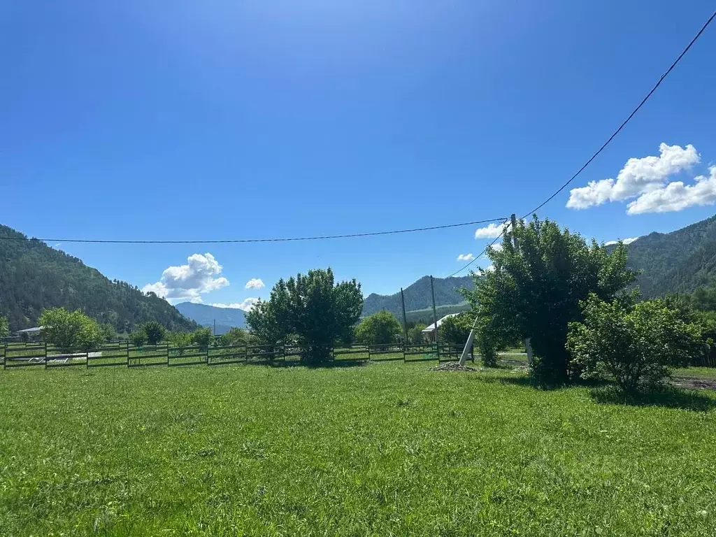 Участок в Алтай, Чемальский район, Узнезинское с/пос, с. Узнезя  ... - Фото 0
