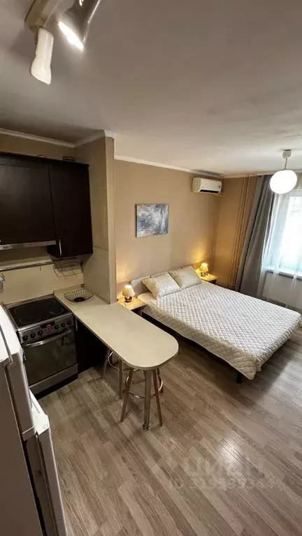 Студия Санкт-Петербург просп. Авиаконструкторов, 49 (25.0 м) - Фото 1