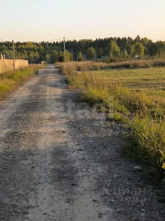 Участок в Тюменская область, Тюменский муниципальный округ, ... - Фото 2