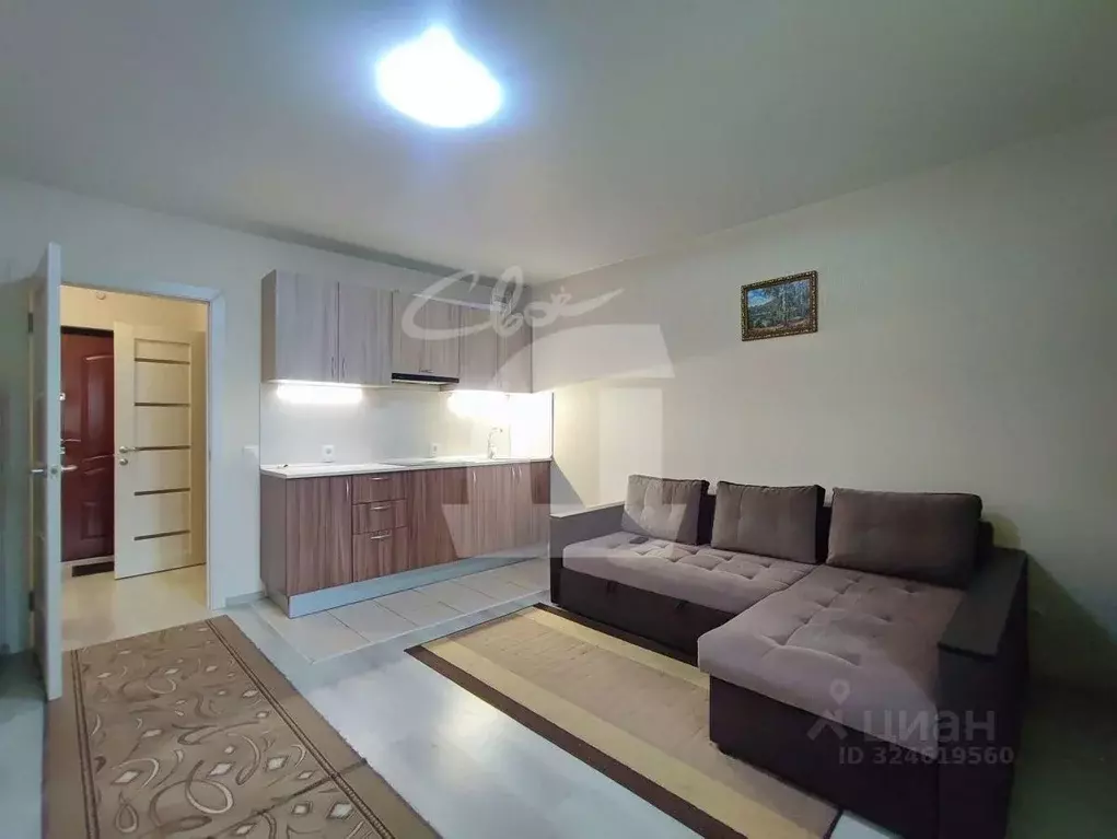 Студия Краснодарский край, Краснодар Российская ул., 74к2 (25.0 м) - Фото 1