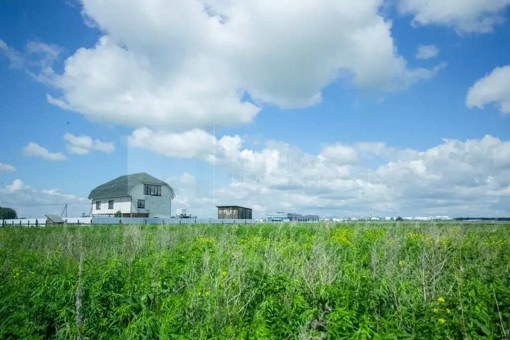 Участок в Тюменская область, Тюменский муниципальный округ, д. Ушакова ... - Фото 2