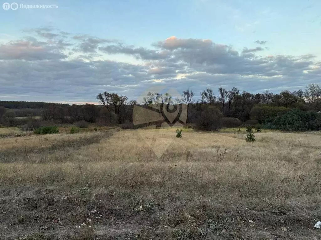 Участок в Старооскольский городской округ, село Бабанинка, ... - Фото 1