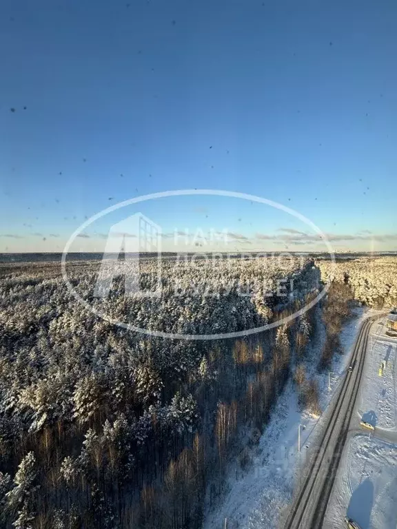 2-к кв. Пермский край, Пермь Ленская ул., 30 (73.4 м) - Фото 2