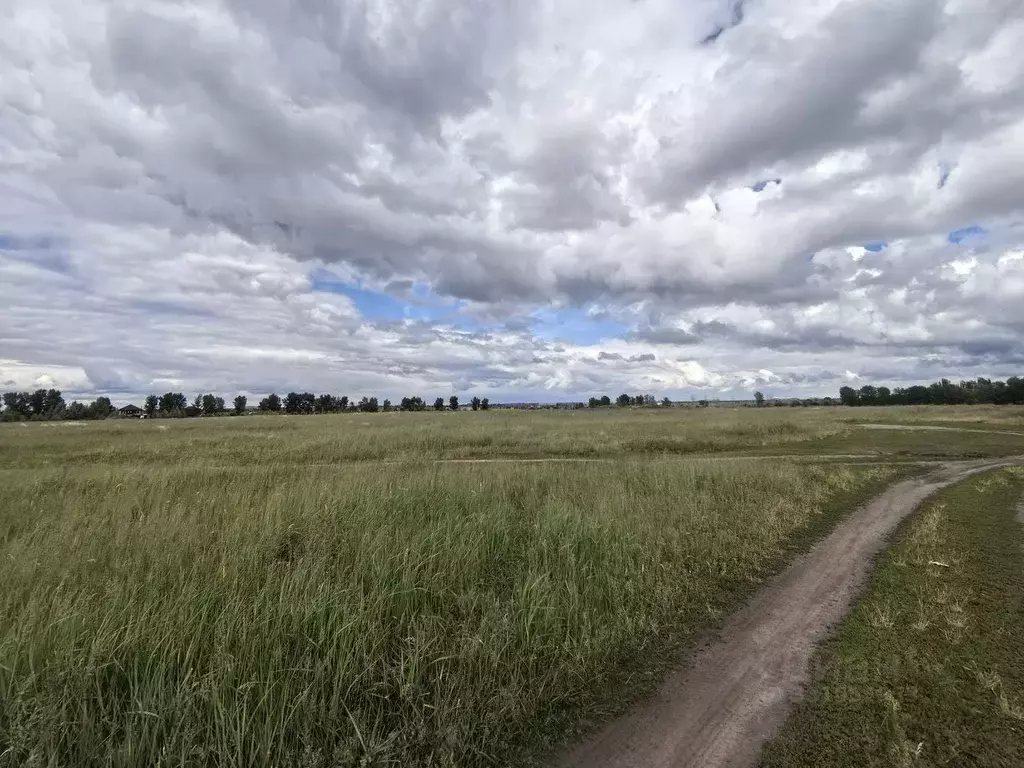 Участок в Воронежская область, Воронеж проезд 2-й Никольский (6.0 ... - Фото 2