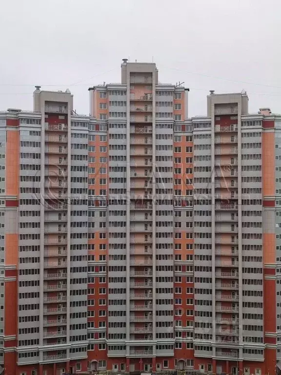 1-к кв. Санкт-Петербург ул. Кустодиева, 5к1 (34.23 м) - Фото 0