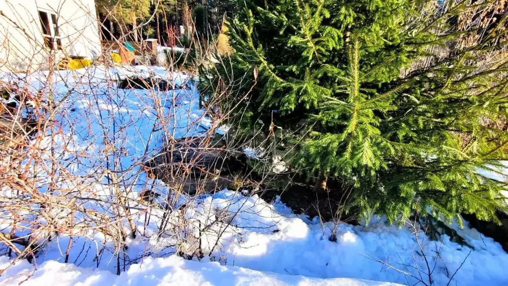 Участок в Новосибирская область, Новосибирский район, Мочищенский ... - Фото 1