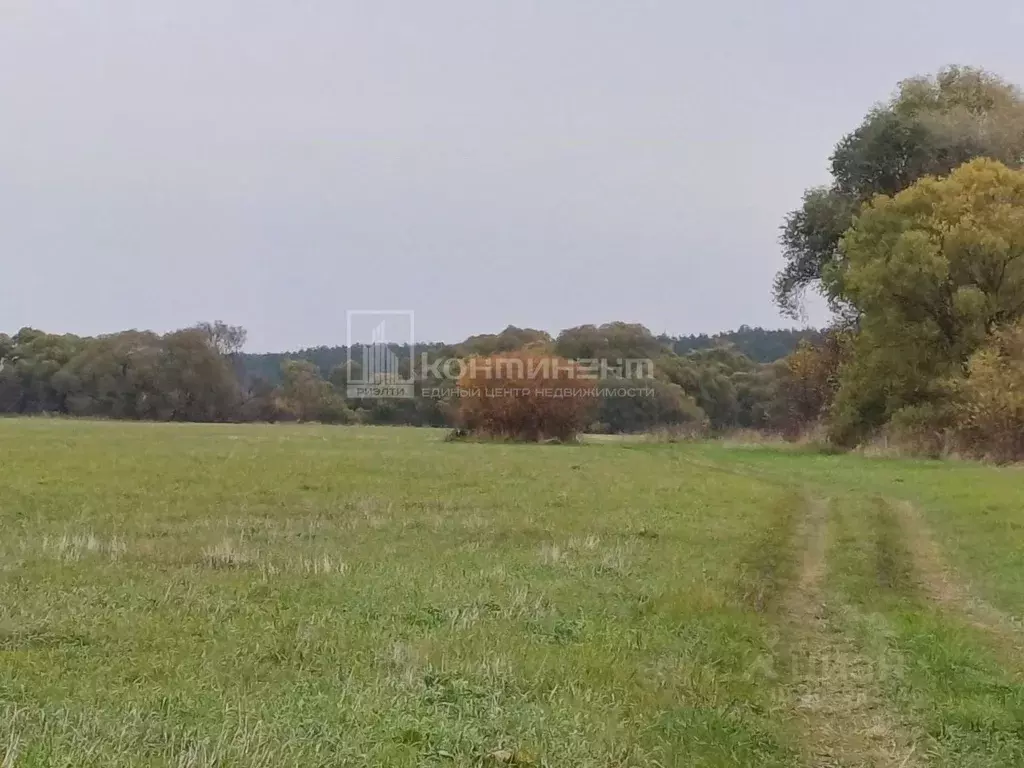 Участок в Владимирская область, Суздальский район, Павловское ... - Фото 1