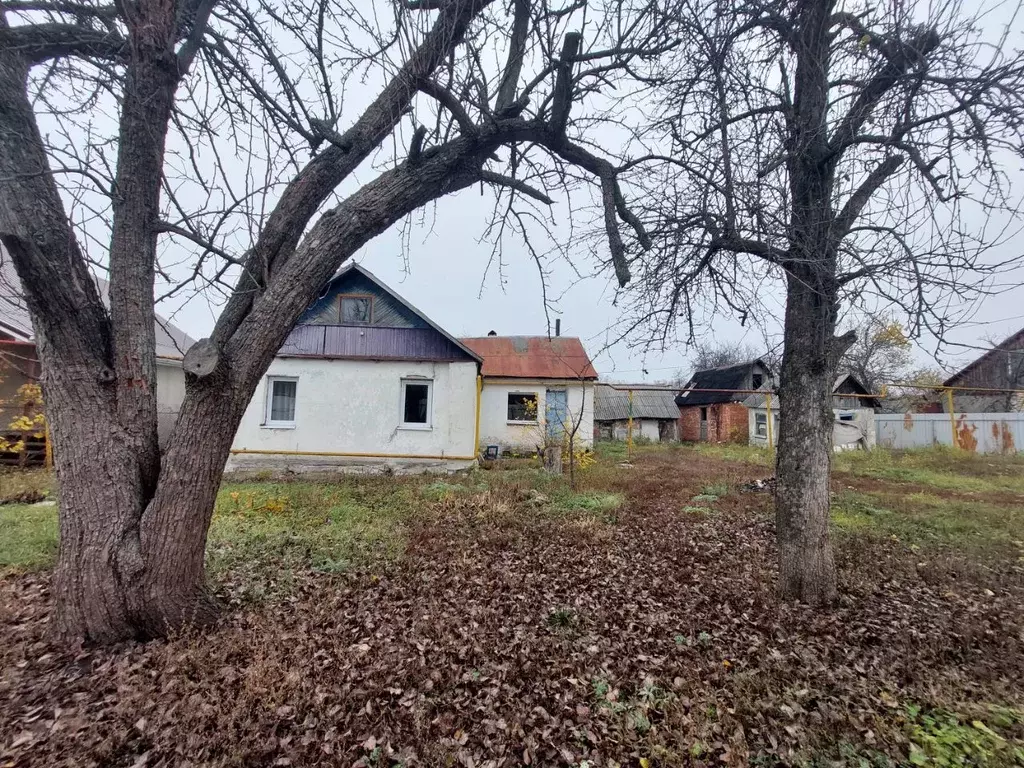 Дом в Воронежская область, Новоусманский район, Никольское с/пос, пос. ... - Фото 1