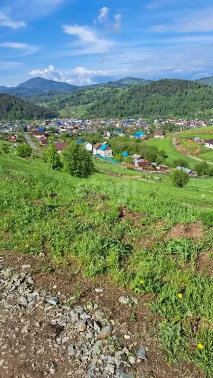 Участок в Алтай, Майминский район, с. Кызыл-Озек  (7.7 сот.) - Фото 1