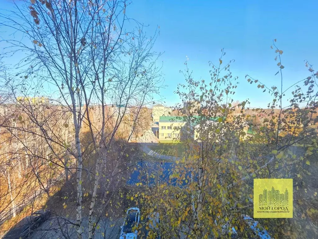 1-к кв. Ханты-Мансийский АО, Пыть-Ях 1-й Центральный мкр, 14 (22.2 м) - Фото 1