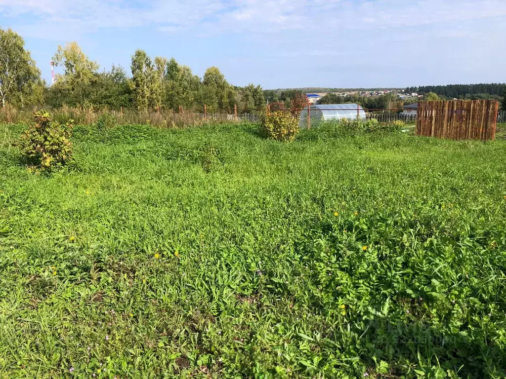 Участок в Кемеровская область, Кемеровский район, с. Андреевка ул. ... - Фото 1