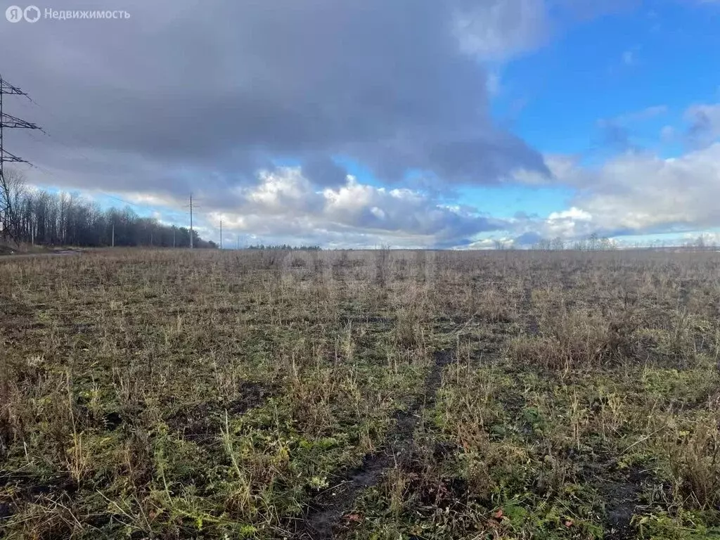 Участок в Лямбирский район, село Берсеневка (10 м) - Фото 1
