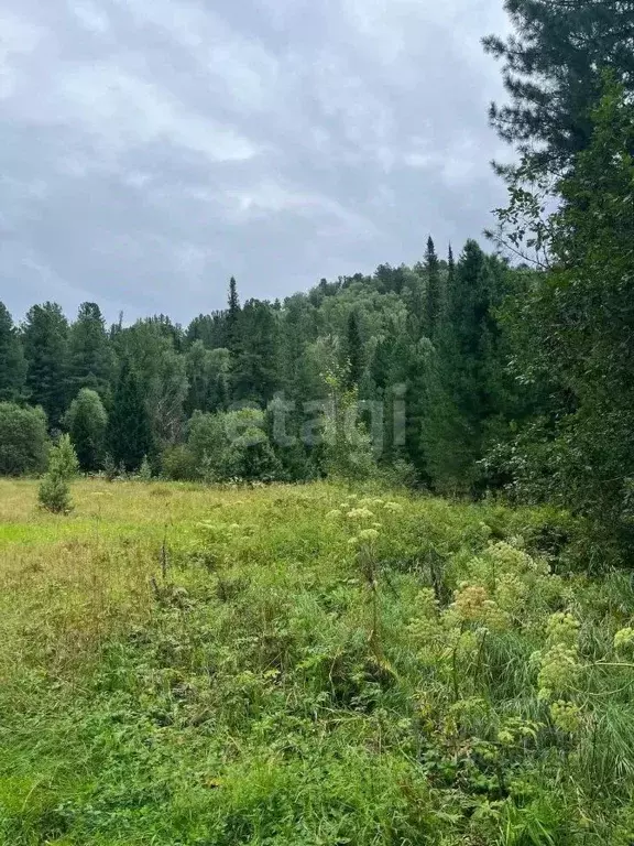 участок в алтай, турочакский район, с. артыбаш ул. юртокская (50.0 . - Фото 0