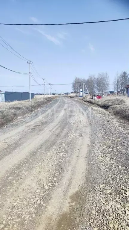 Участок в Тюменская область, Тюменский муниципальный округ, с. Чикча, ... - Фото 1