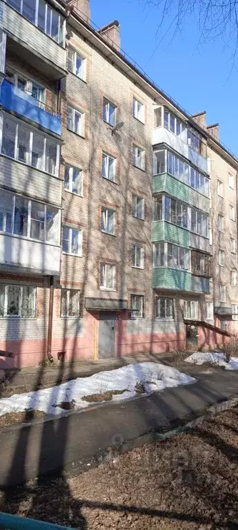 1-к кв. Московская область, Красноармейск Пушкинский городской округ, ... - Фото 1