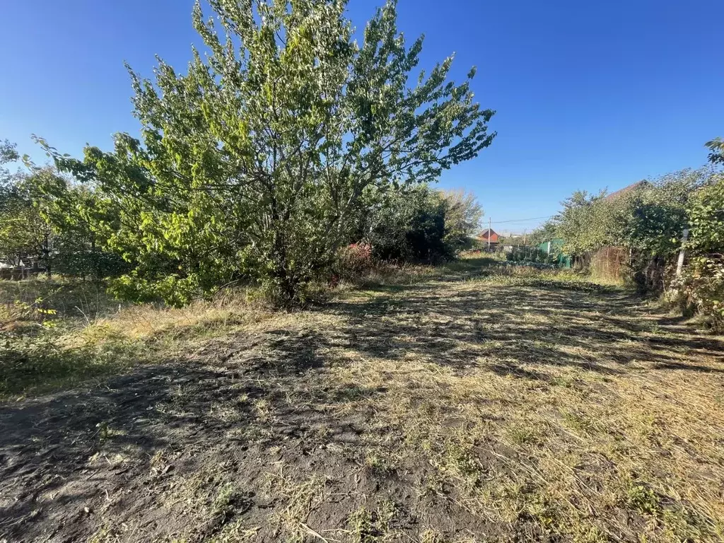 Участок в Воронежская область, Новоусманский район, Отрадненское ... - Фото 1