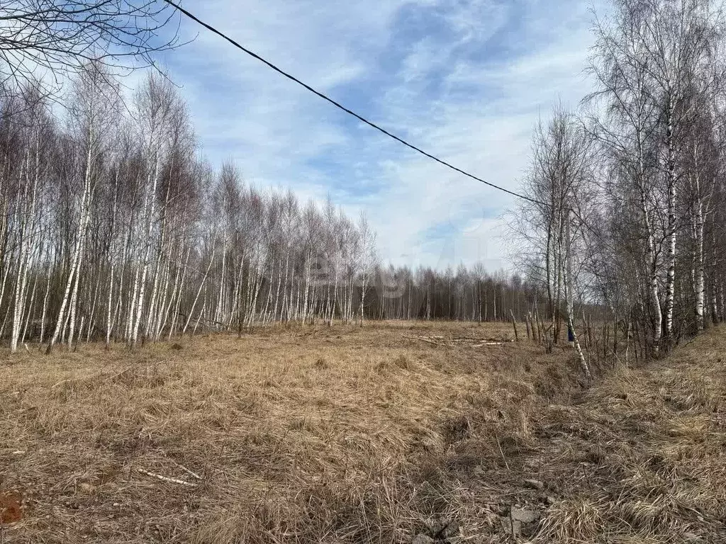 Участок 9 сот. (СНТ, ДНП) - Фото 0
