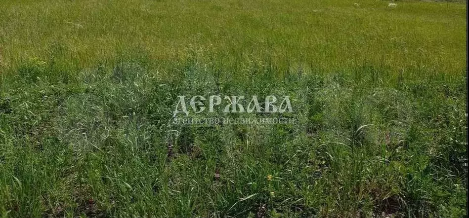 Участок 10 сот. (ИЖС) - Фото 0