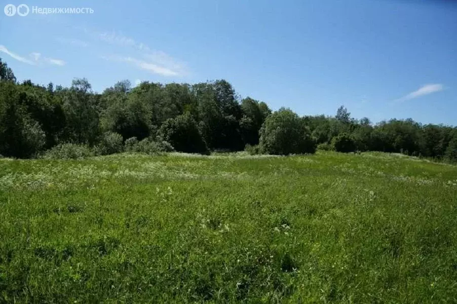 Участок в Ломоносовский район, Лопухинское сельское поселение, деревня ... - Фото 0