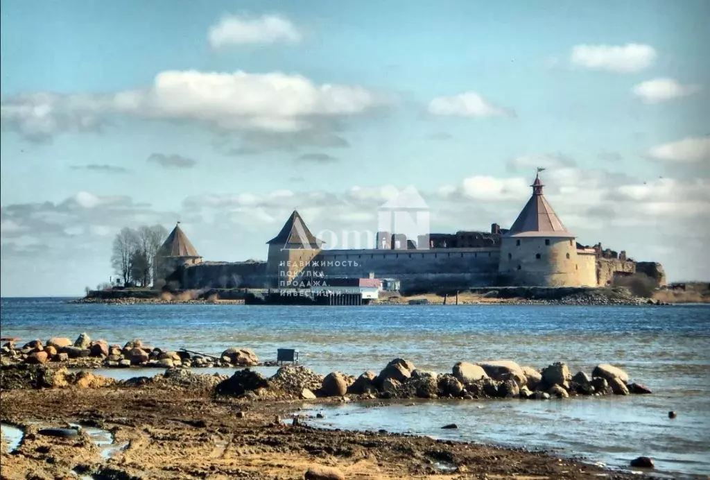 Участок в Ленинградская область, Всеволожский район, Морозовское ... - Фото 2