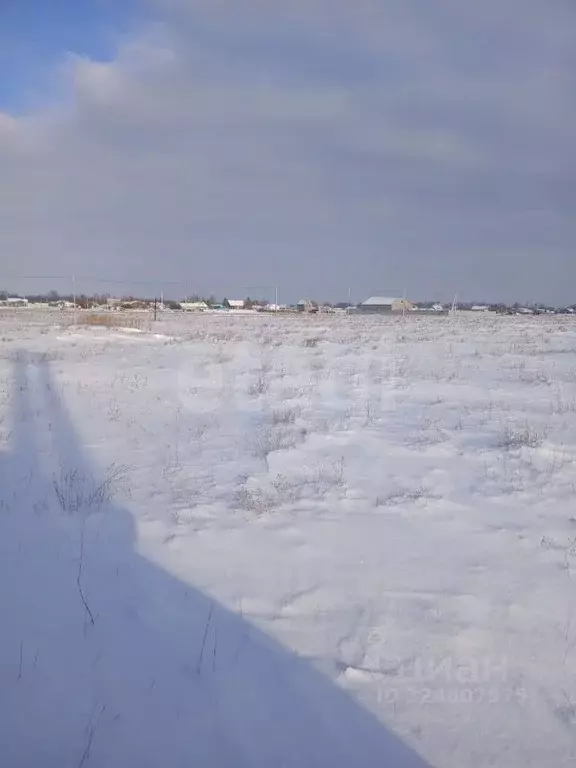 Участок в Оренбургская область, Оренбург городской округ, с. Городище  ... - Фото 2