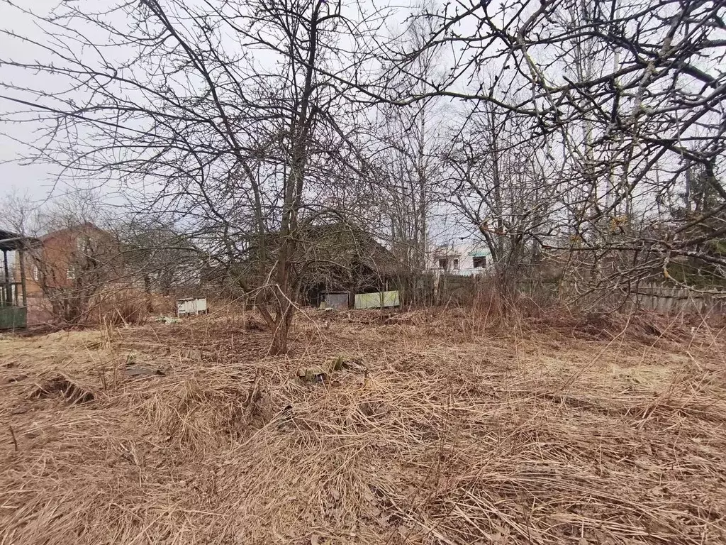 Участок в Санкт-Петербург пос. Усть-Ижора, Шлиссельбургское ш., 113 ... - Фото 1