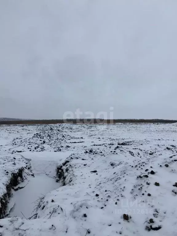 Участок в Белгородская область, Белгородский район, Головинское с/пос, ... - Фото 1