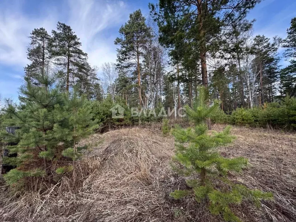 Участок в Иркутская область, Ангарск Вишенка СНТ,  (17.5 сот.) - Фото 2