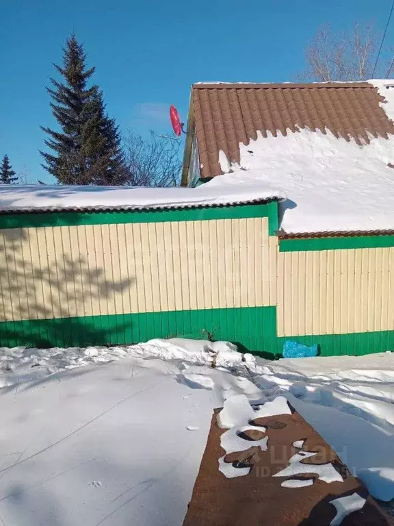 Торговая площадь в Амурская область, Сковородино Смоленская ул., 34 ... - Фото 2